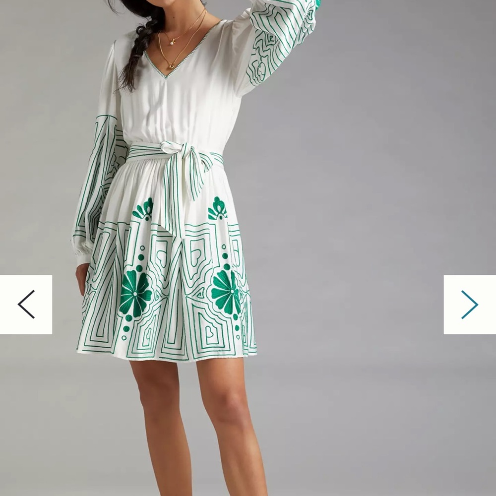 Anthropologie Forever that Girl Embroidered Mini Dress 👗